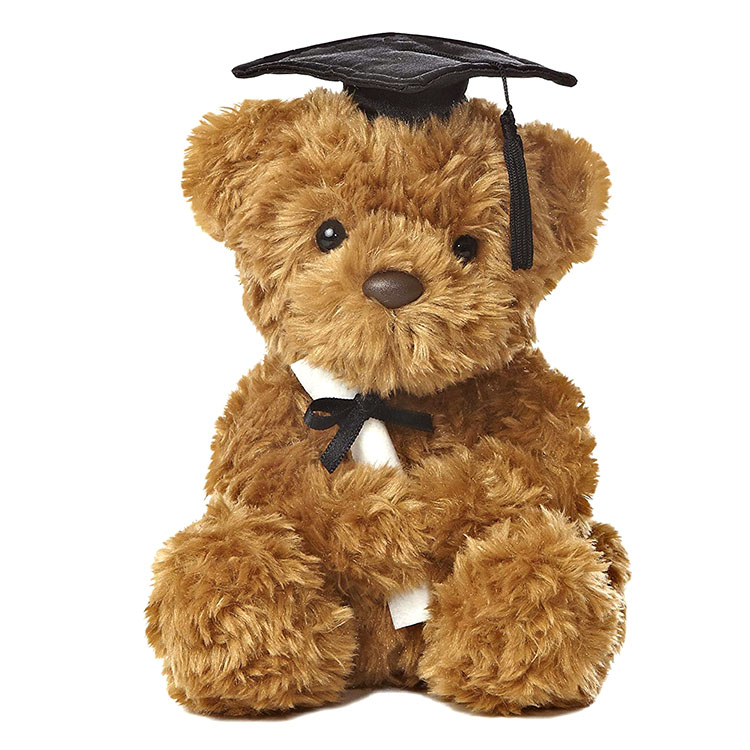 20cm 30cm 40cm ប្ដូរតាមបំណង plush toy cute bear toy stuffed graduation bear
