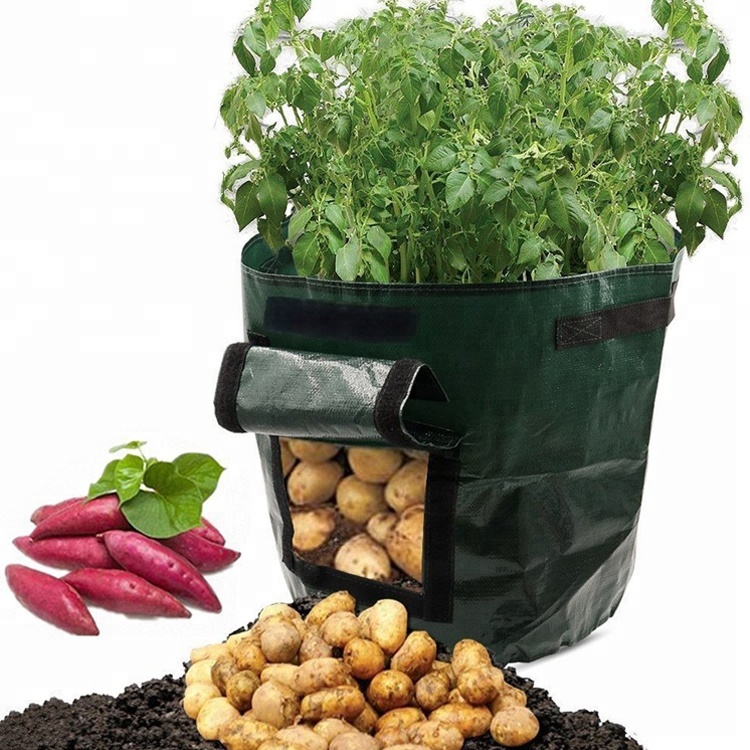 Factory supplied Plush Bear -
Top selling environmental outdoor collapsible plant nursery bag for growing – V-FOX detail pictures