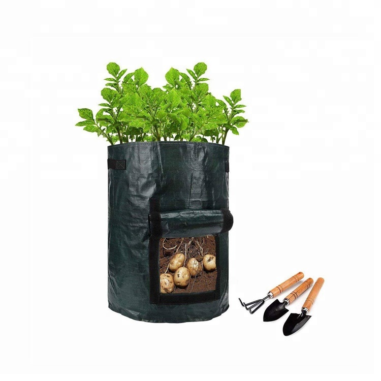 Low price for Koala Bear Plush -
Eco-friendly collapsible portable custom durable non woven plant bag – V-FOX detail pictures